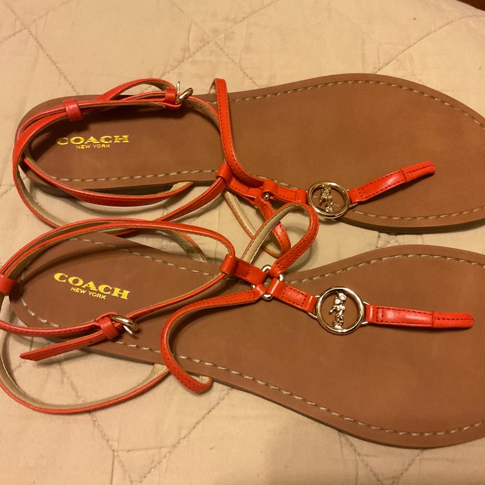 Coach Clove Leather Thong Sandals